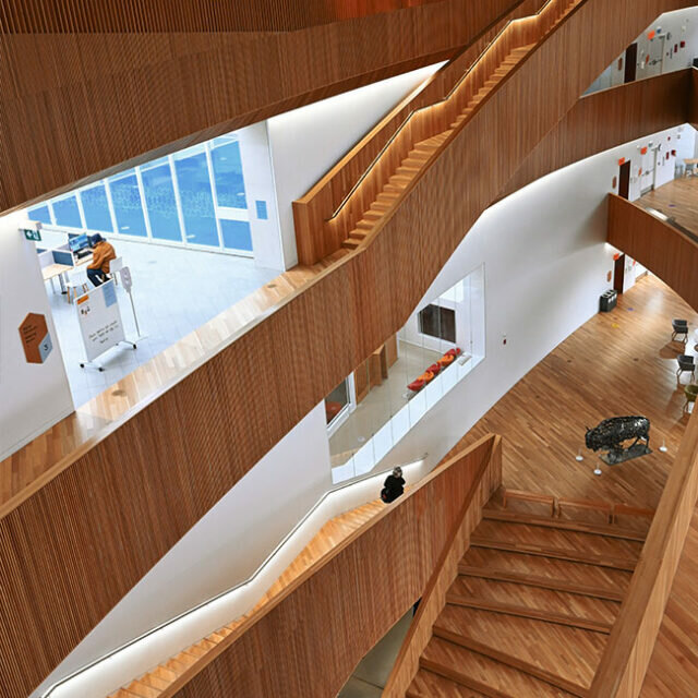 Business consulting Bimlord Management Consultancies, company, Dubai, photo