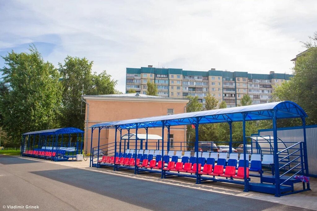 مدرسة رياضية Gbu Sshor Kolpinsky district of St. Petersburg ، ، صورة