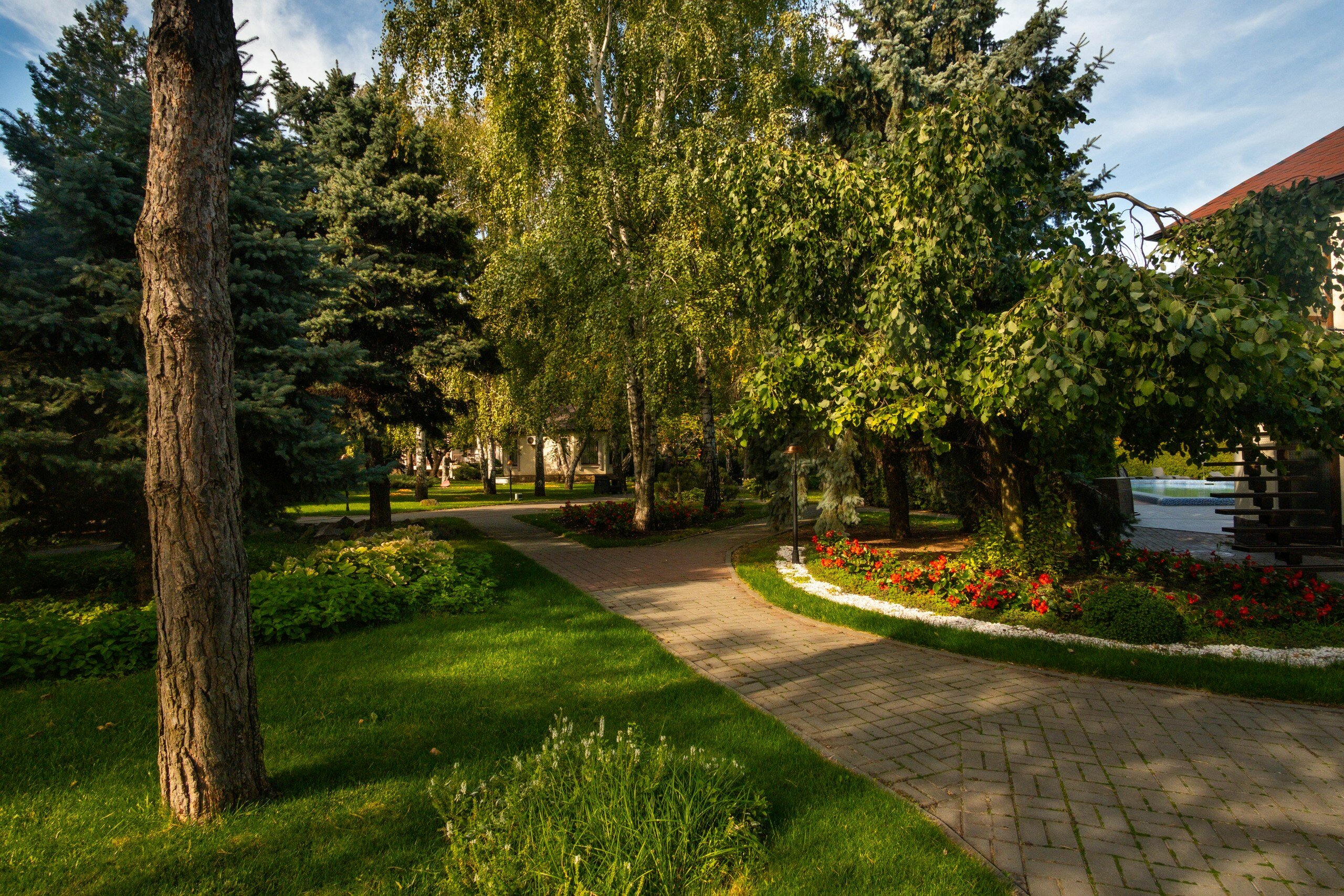 Фото Высокий берег