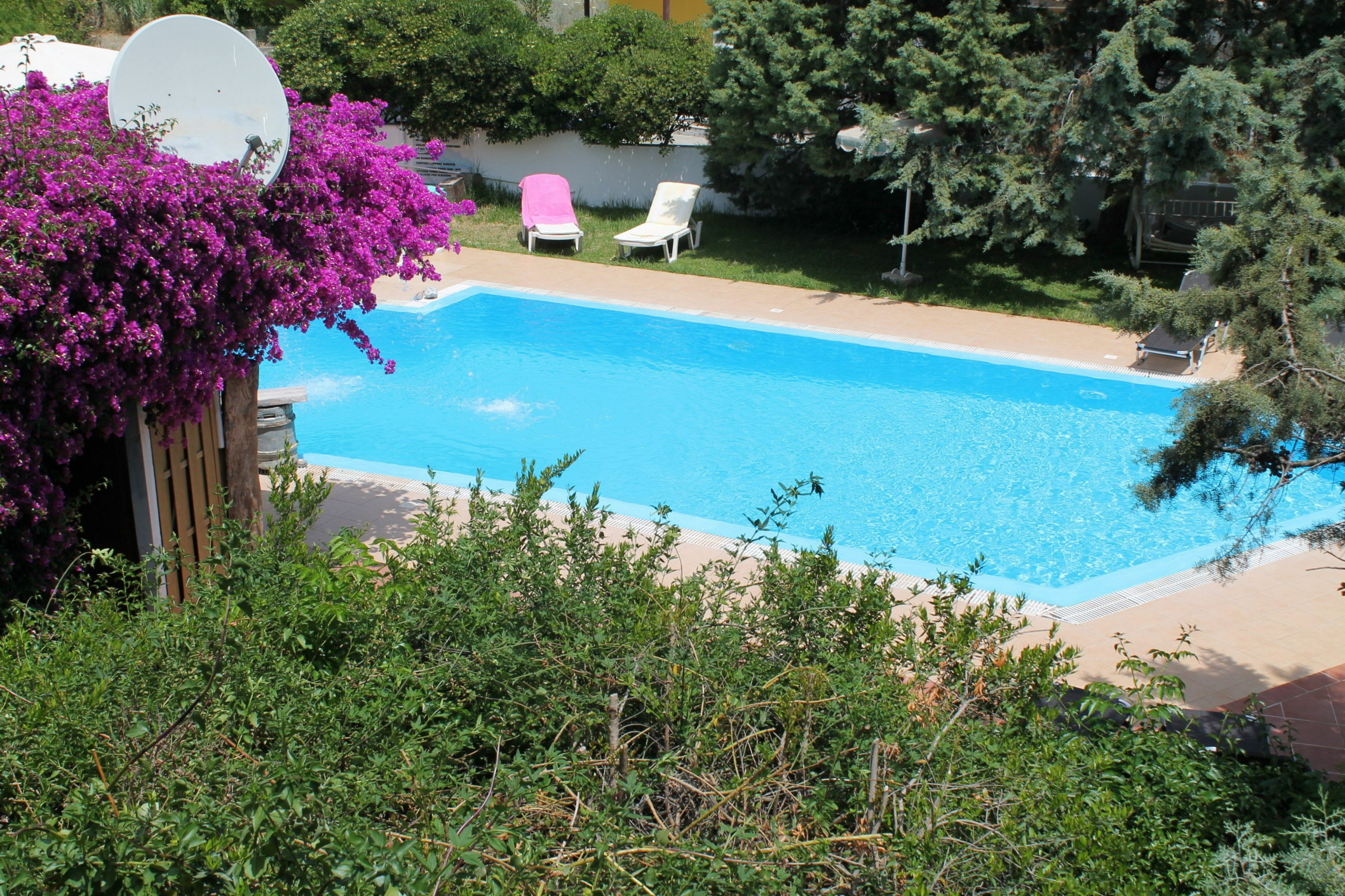 Фото Melody Studios