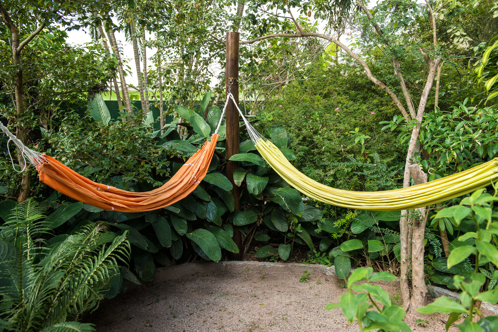 Фото Hotel Natur Campeche