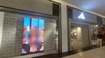 adidas (Ankara Province, Cankaya District, Koru Mah., 2559. Sok., 6), sports store