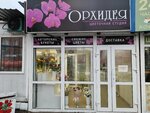 Орхидея (Krasnoarmeyskaya Street, 126) ، محل زهور