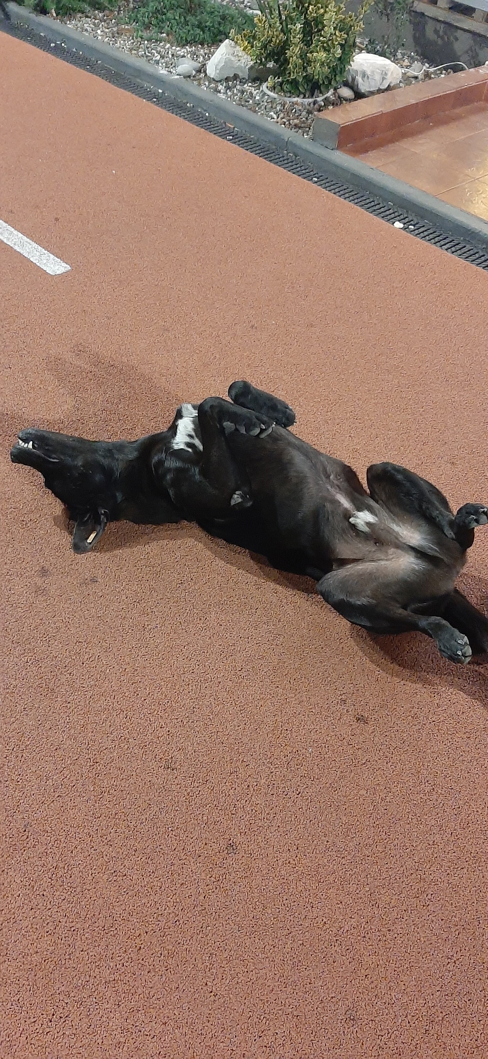 Фото Бухта № 5