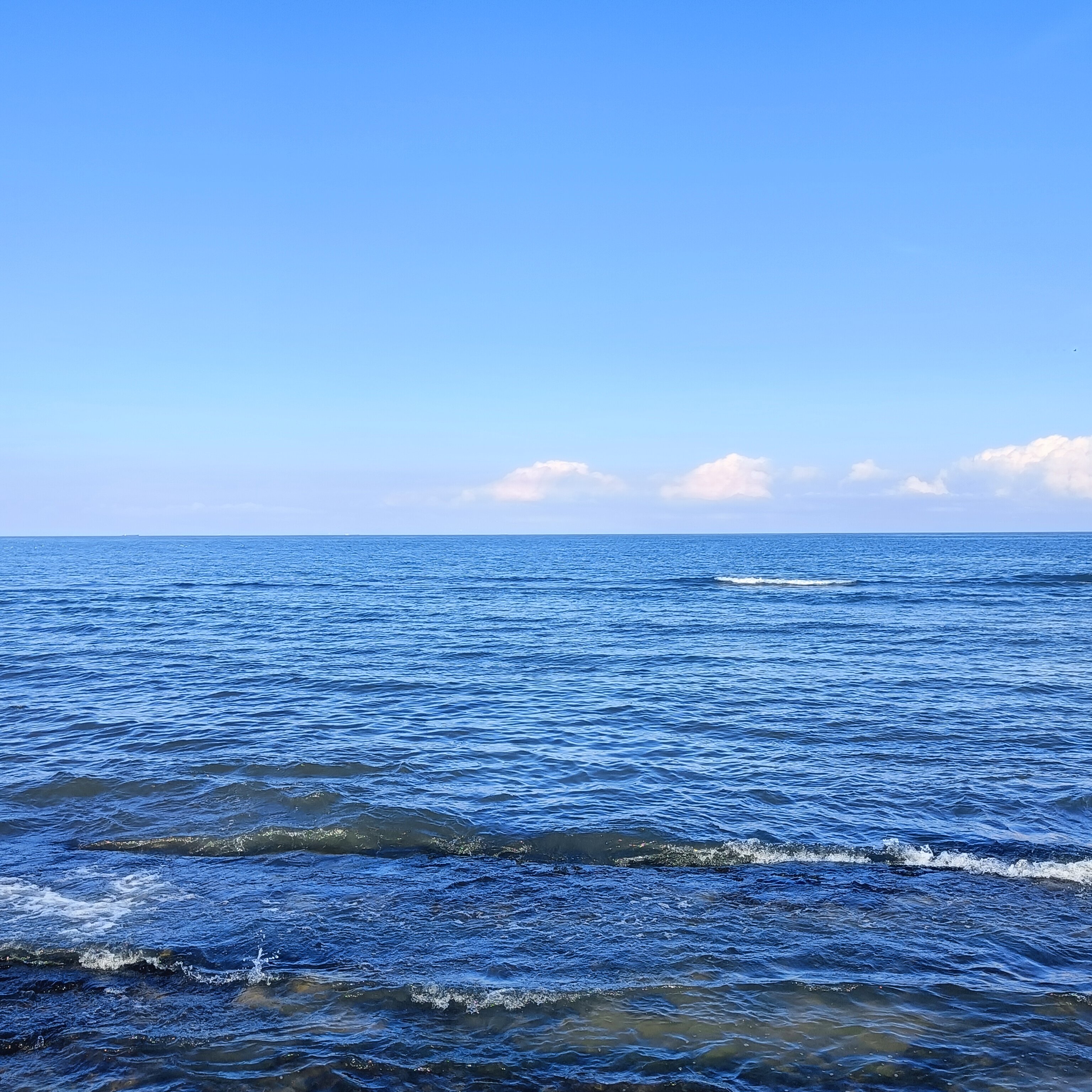 Фото Аллея ИНН