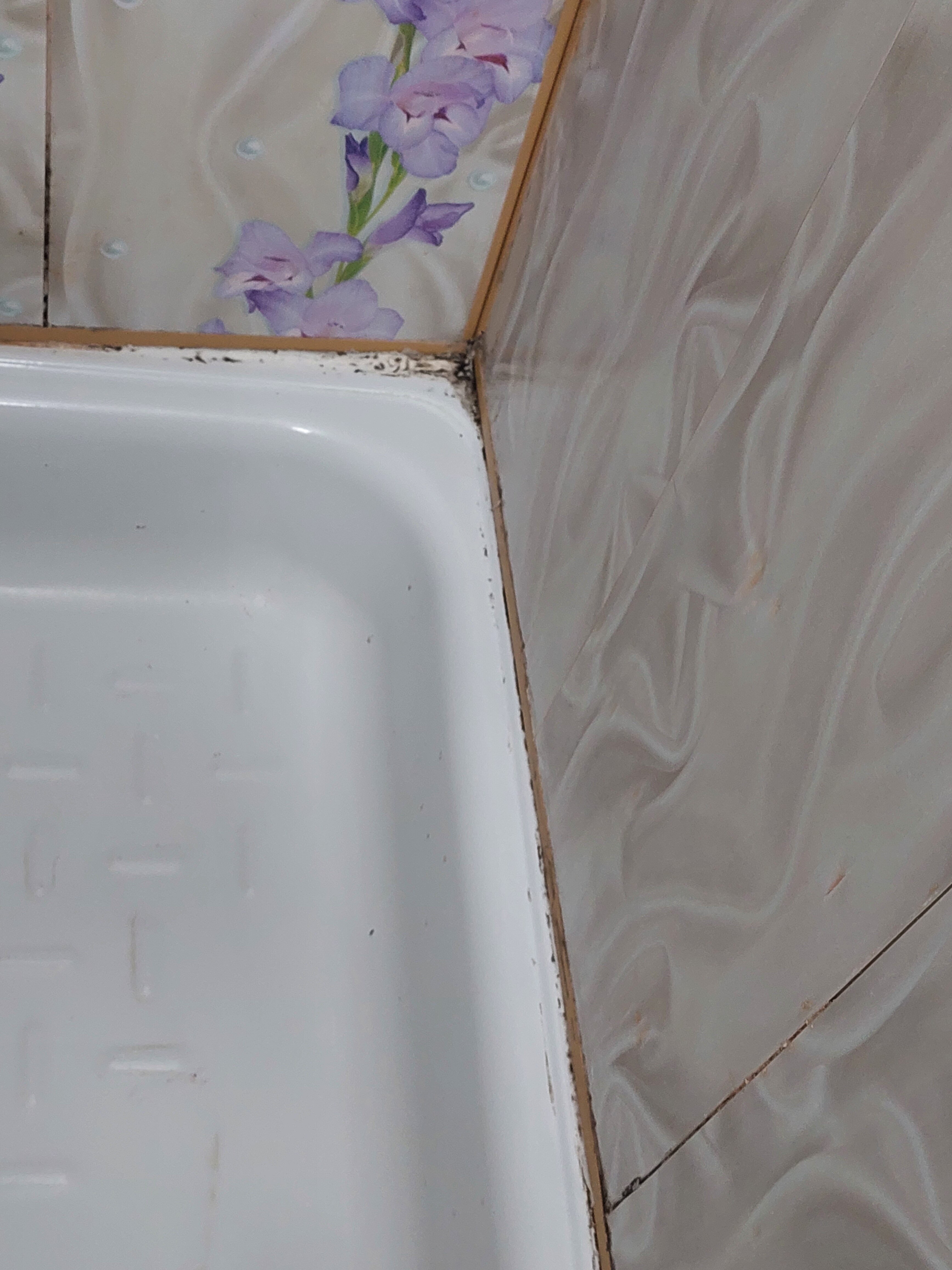 Фото Островок