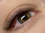T. H. Lash (Ostrovskogo Street, 21к2) ، شريط حاجب العين