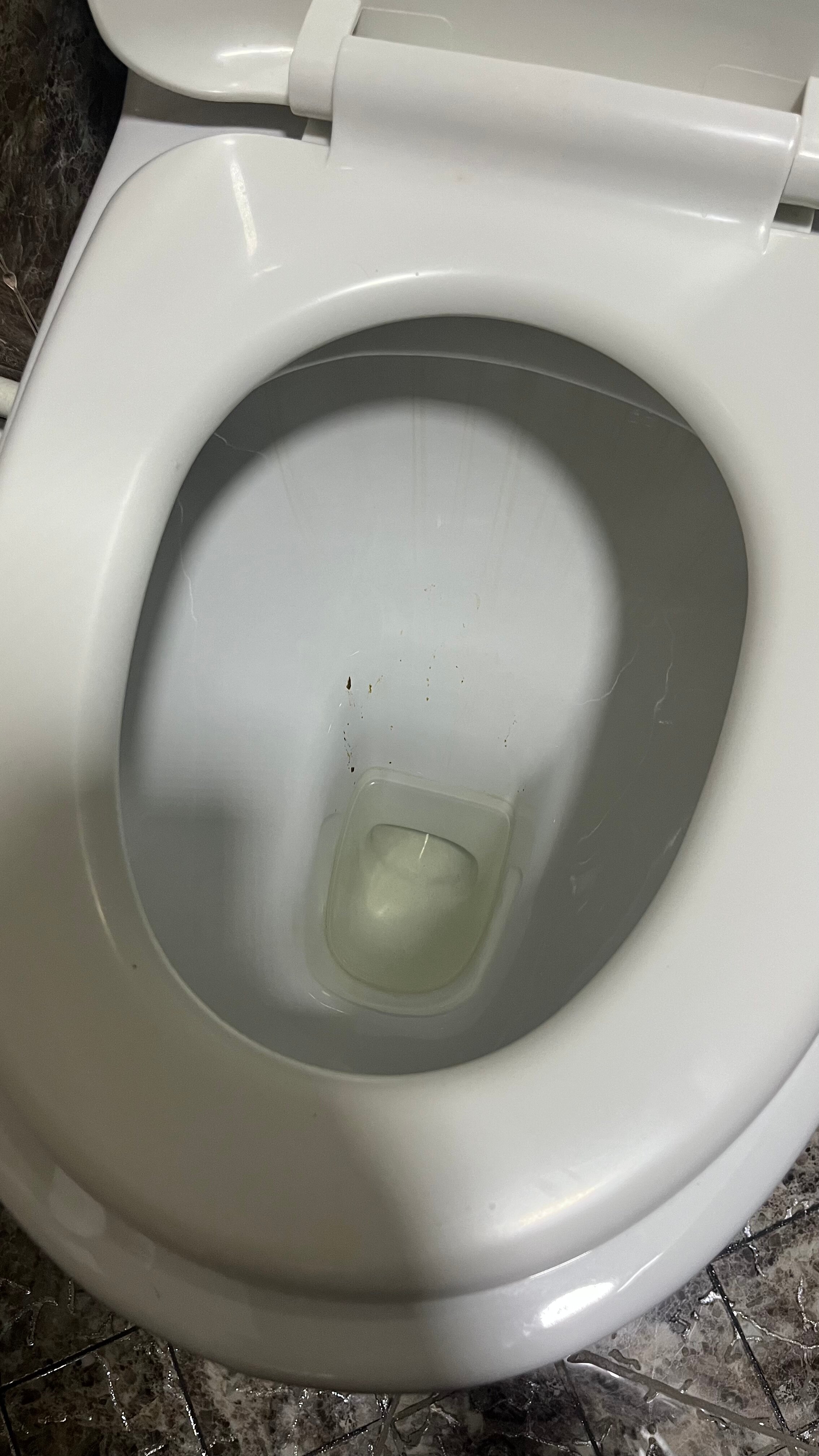 Фото Абсолют