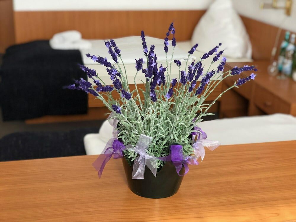 Фото Hotel Kaiser