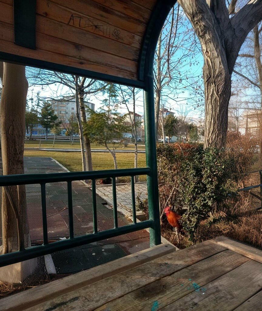 Primary school Memnune-Turker Altuncu Primary School, Nigde, photo