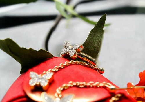 Vitrin Kuyumculuk Ordu Fotoğraf 3