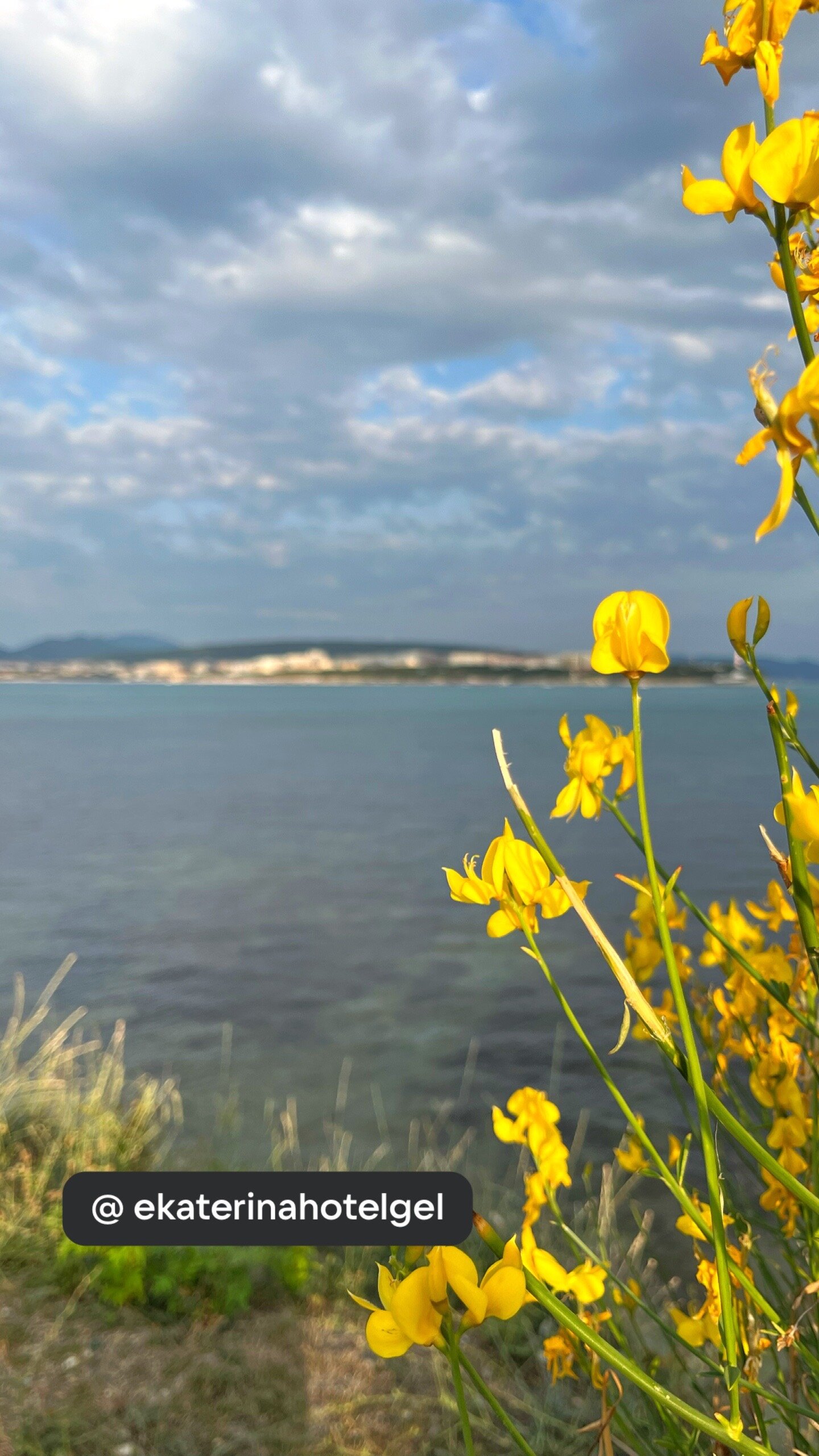 Фото Екатерина