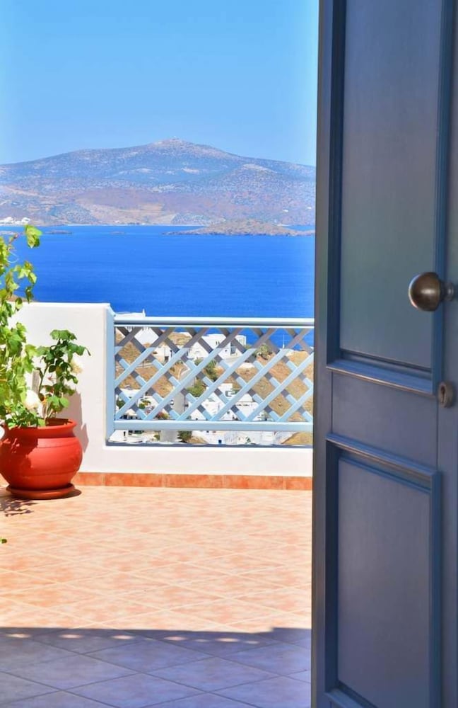 Фото Lefkanthemo