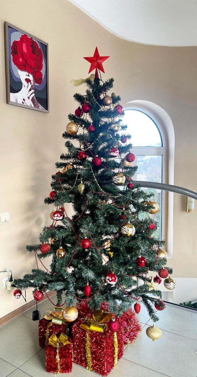 Фото Ласточка