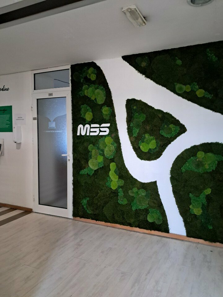 كلية إدارة الأعمال Visoka škola modernog biznisa Mbs - Modern Business School ، بلغراد، صورة