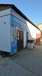 Meat Department (Salaýat tuıyq kóshesi, 5) ، متجر جزارة، ديلي