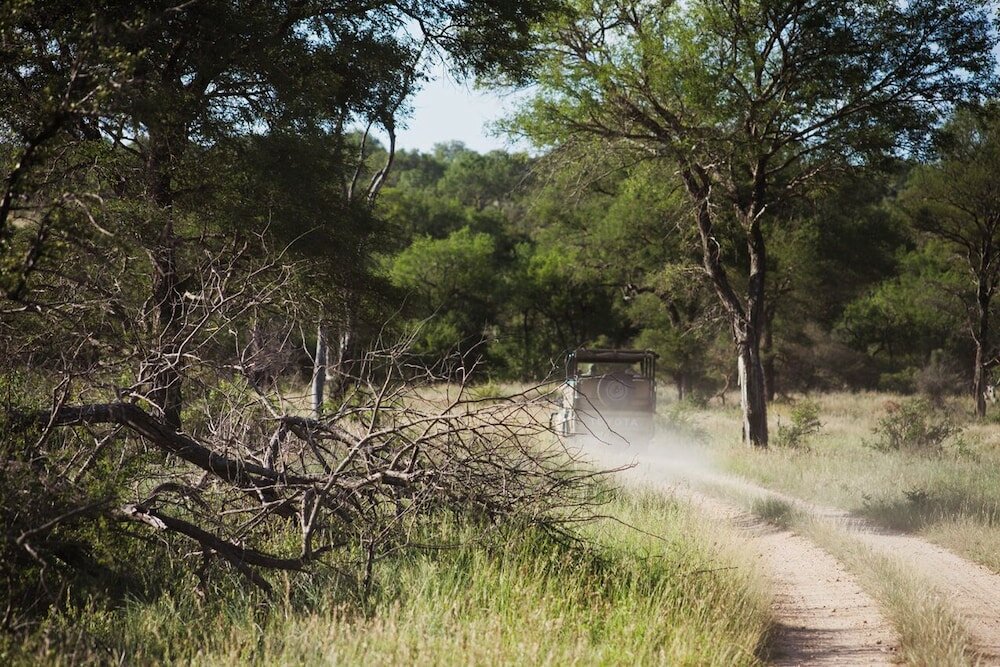 Фото Rhino Walking Safaris
