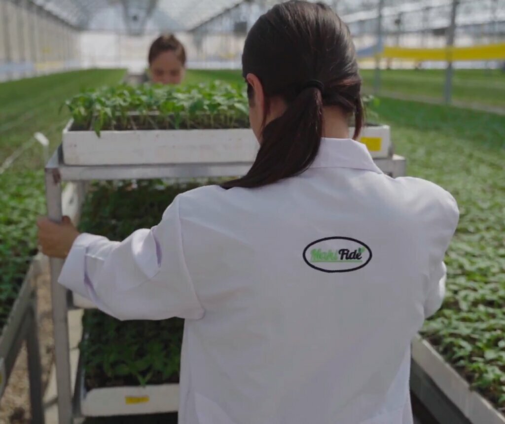 Garden center Maki Fide, Kumluca, photo