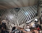 Cantav Auto Tire (Bursa, Ankarayolu Avenue, 733), servicio de coches, centro de reparación de automóviles