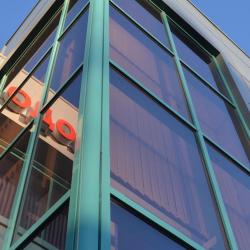 Фото Альбатрос