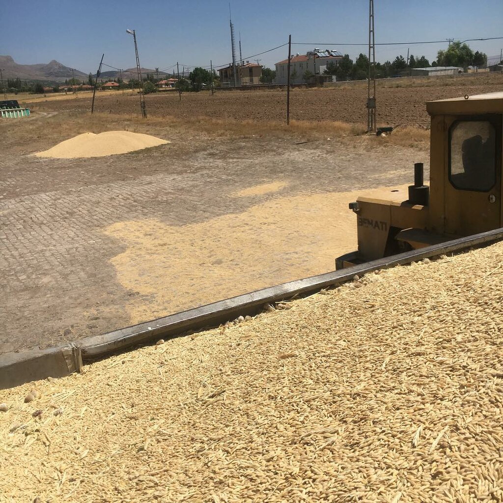 Food manufacturers Ayan Flour and Feed Factory, Kayseri, photo