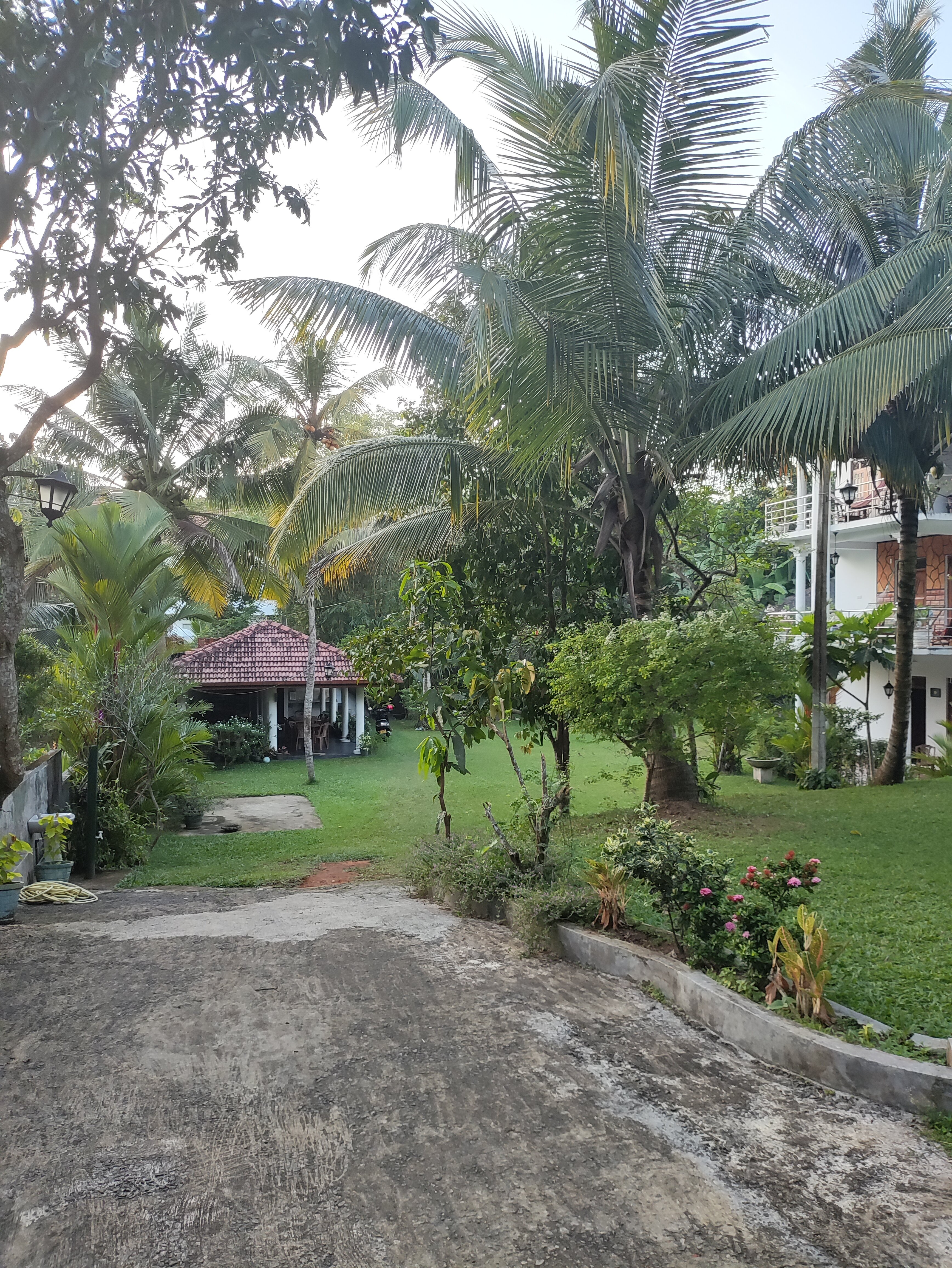 Фото Utopia villa