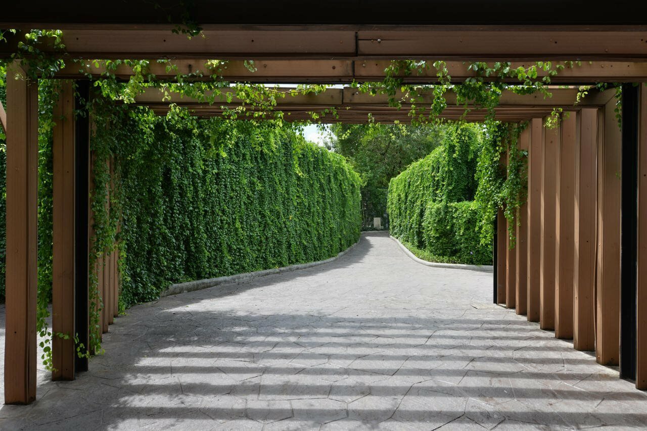 Фото Twin Lotus Resort and SPA