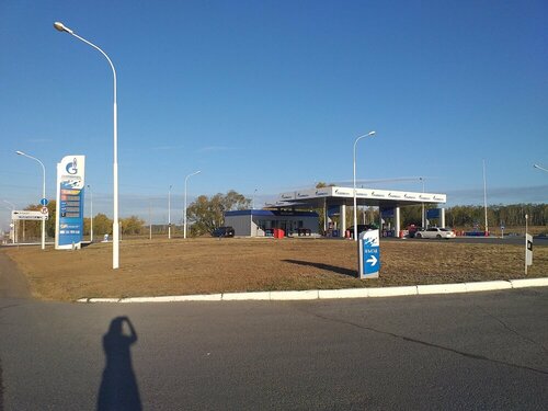 Gas station Gazpromneft, Omsk Oblast, photo