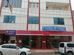 Deda Rent A Car (İstanbul, Esenyurt, İncirtepe Mah., 234. Sok., 8A) ، تأجير السيارات
