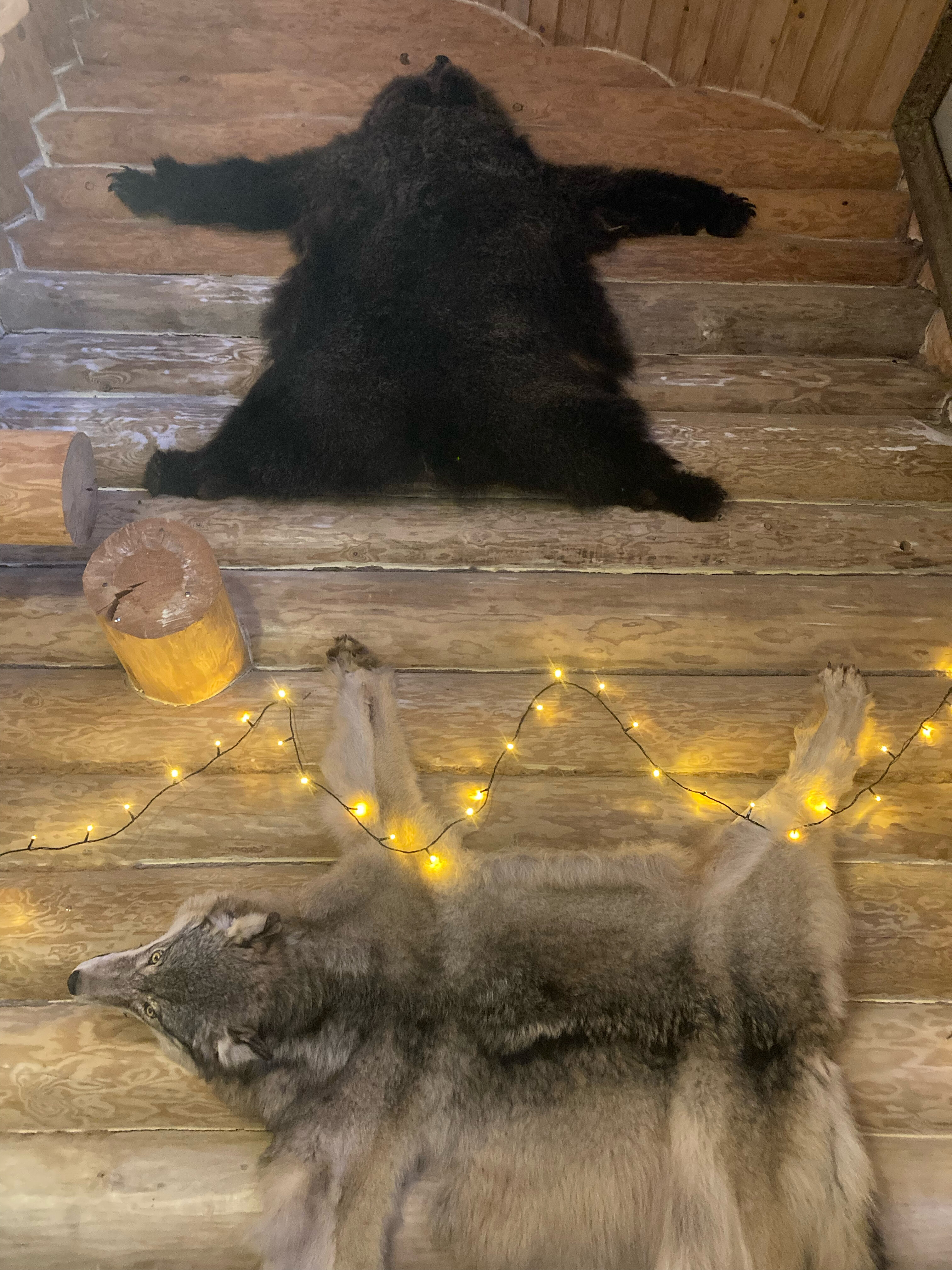 Фото Святозеро