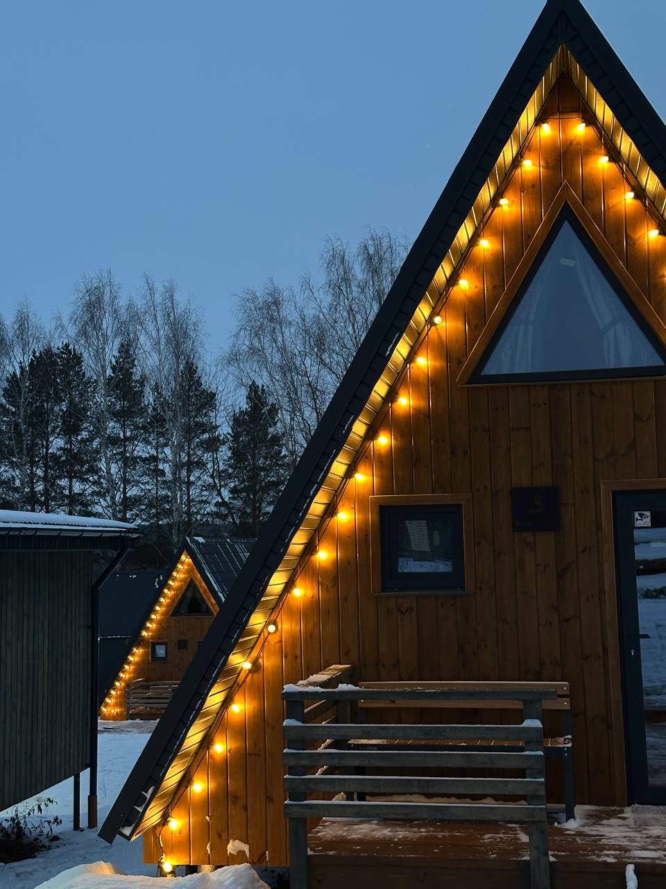 Фото Караси