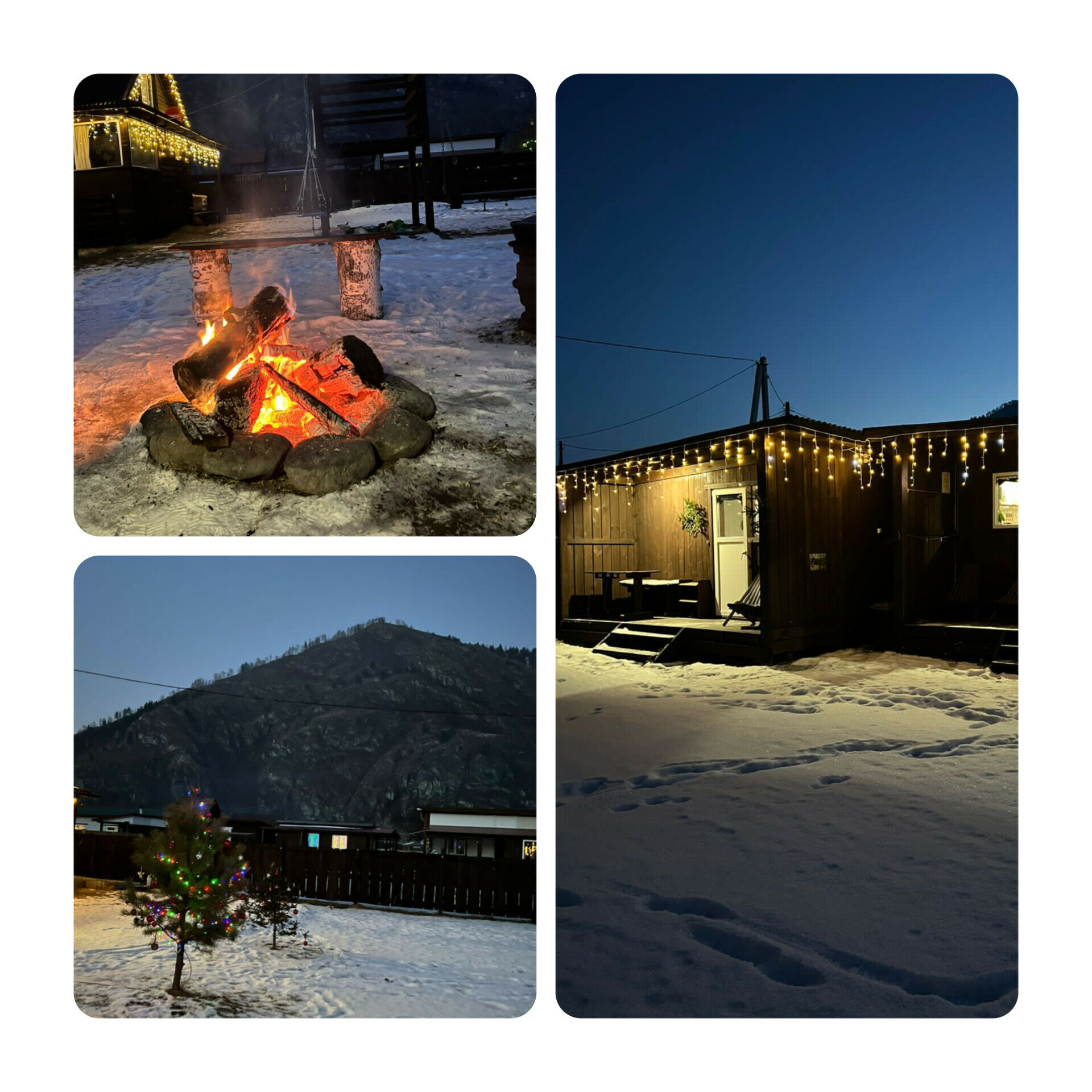 Фото АлтайГруша