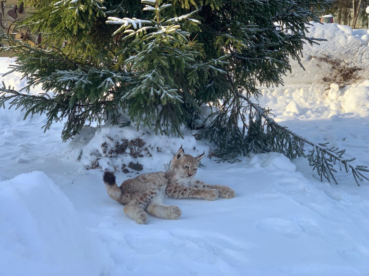 Фото Проховское подворье