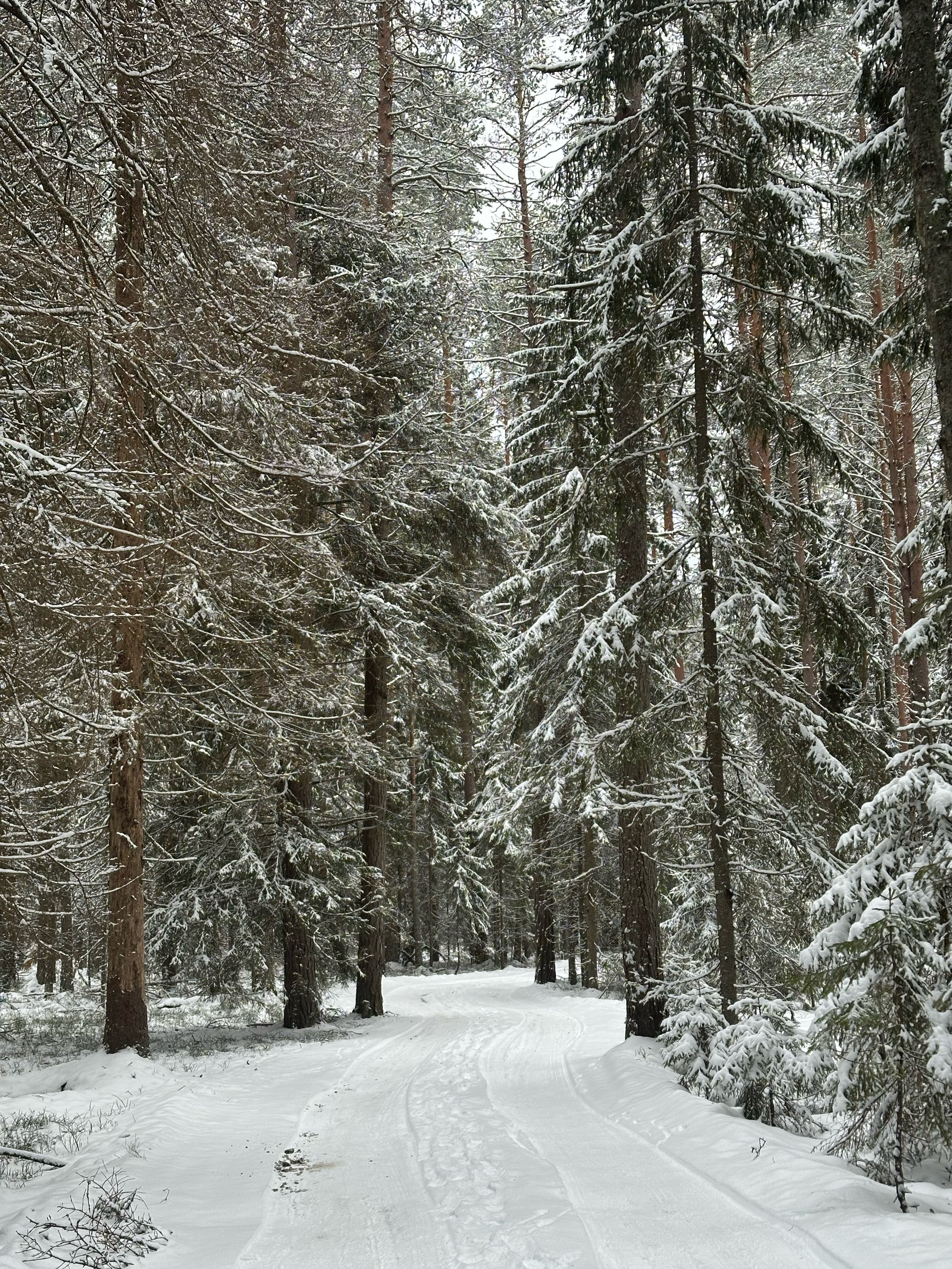 Фото Vuoksa&Village