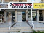 Önder Crane (Izmir, Gaziemir, Hasan Guven Street, 96/1C), car service, auto repair