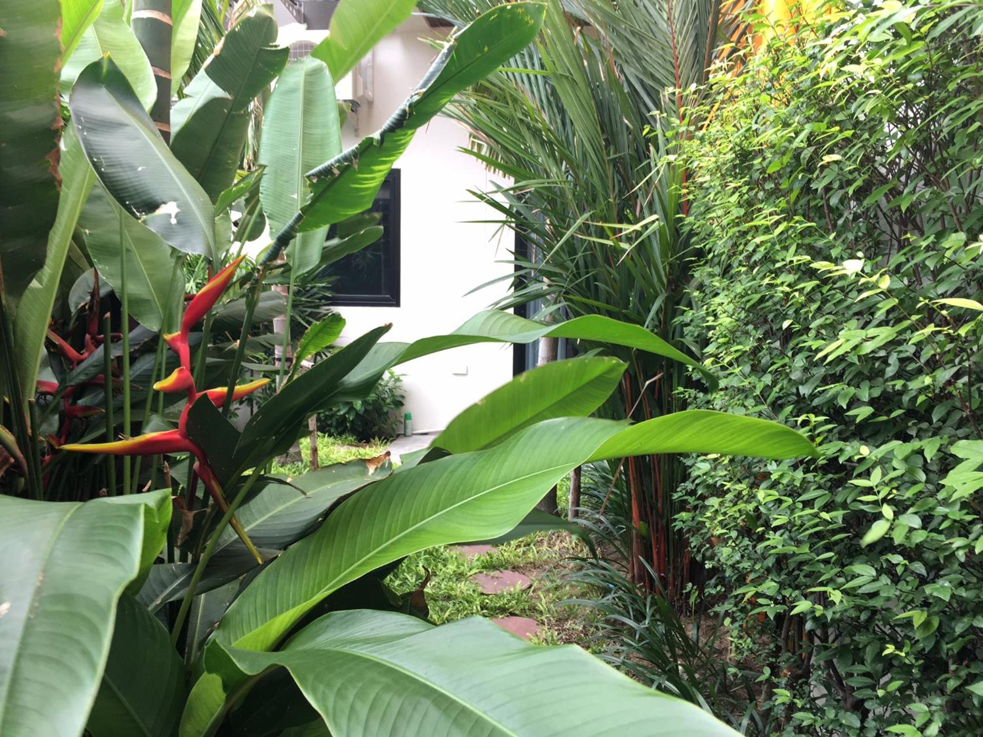 Фото Tandeaw View