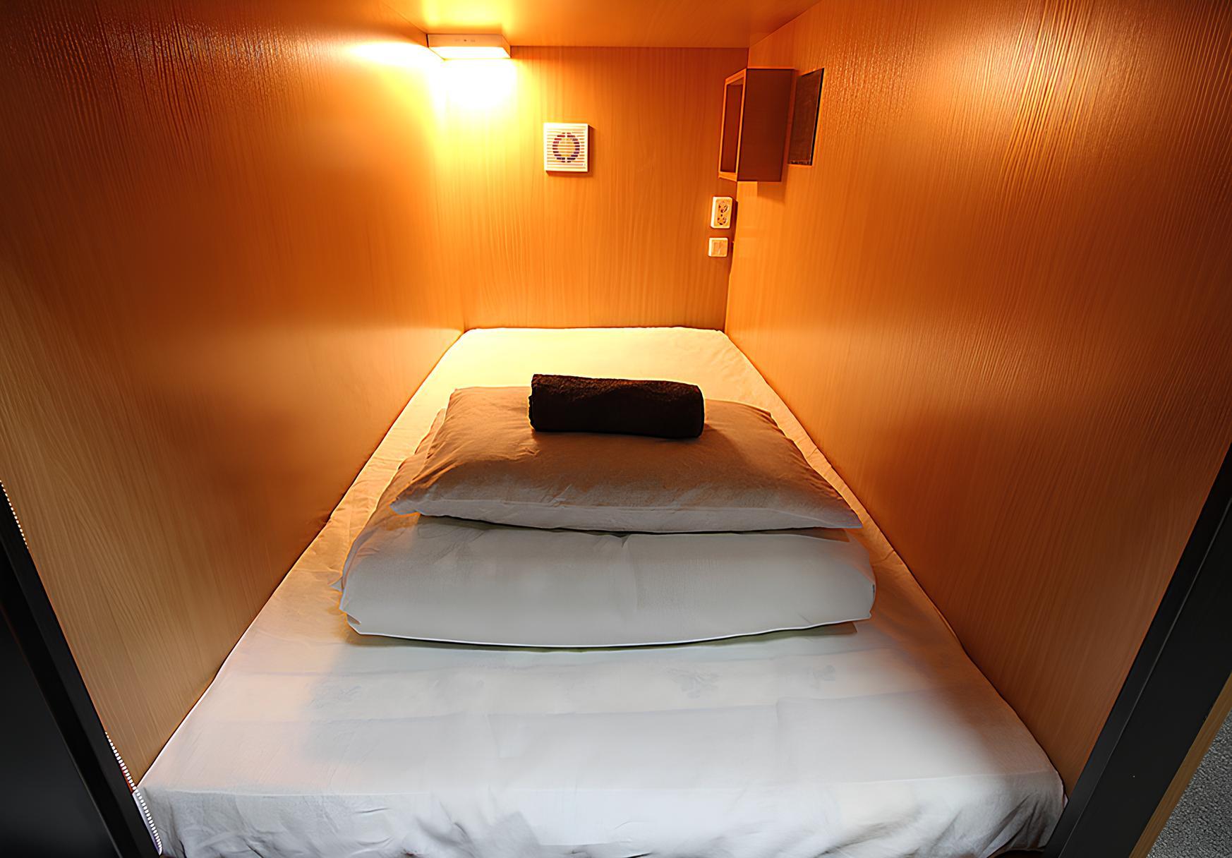 Фото Вежливый лось