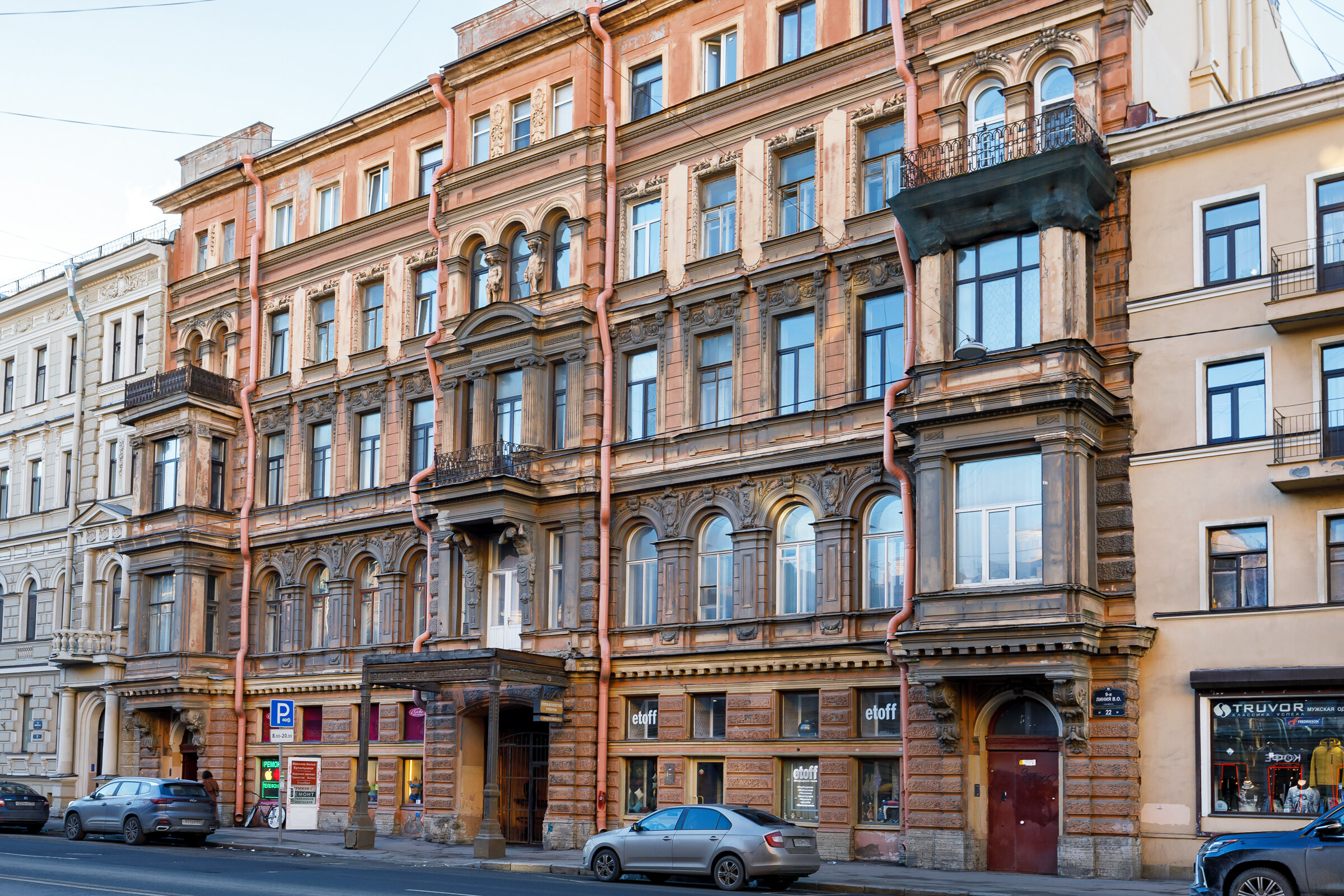 Фото Астра