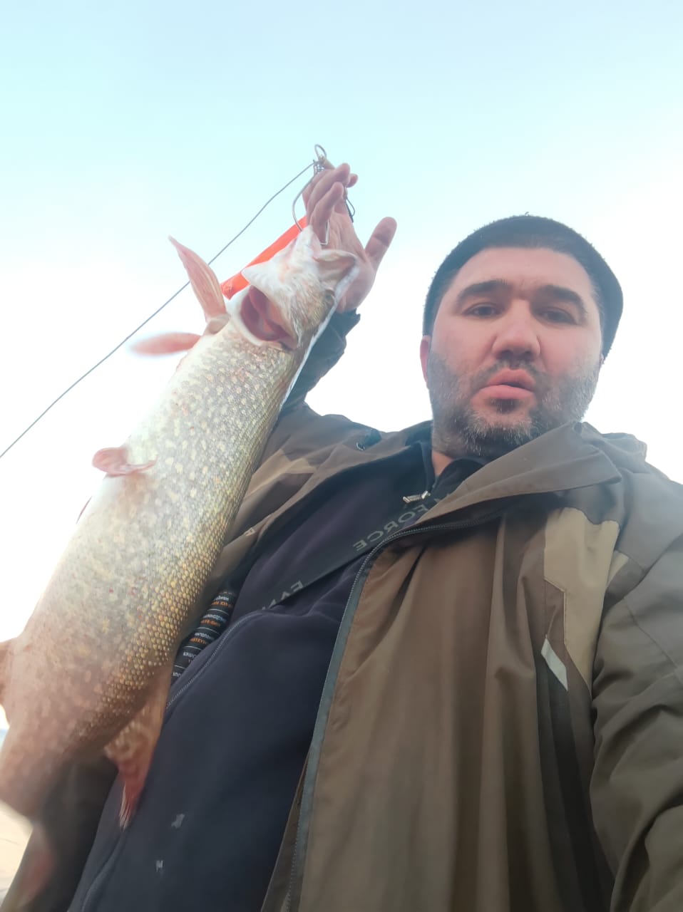 Фото Домик на дереве