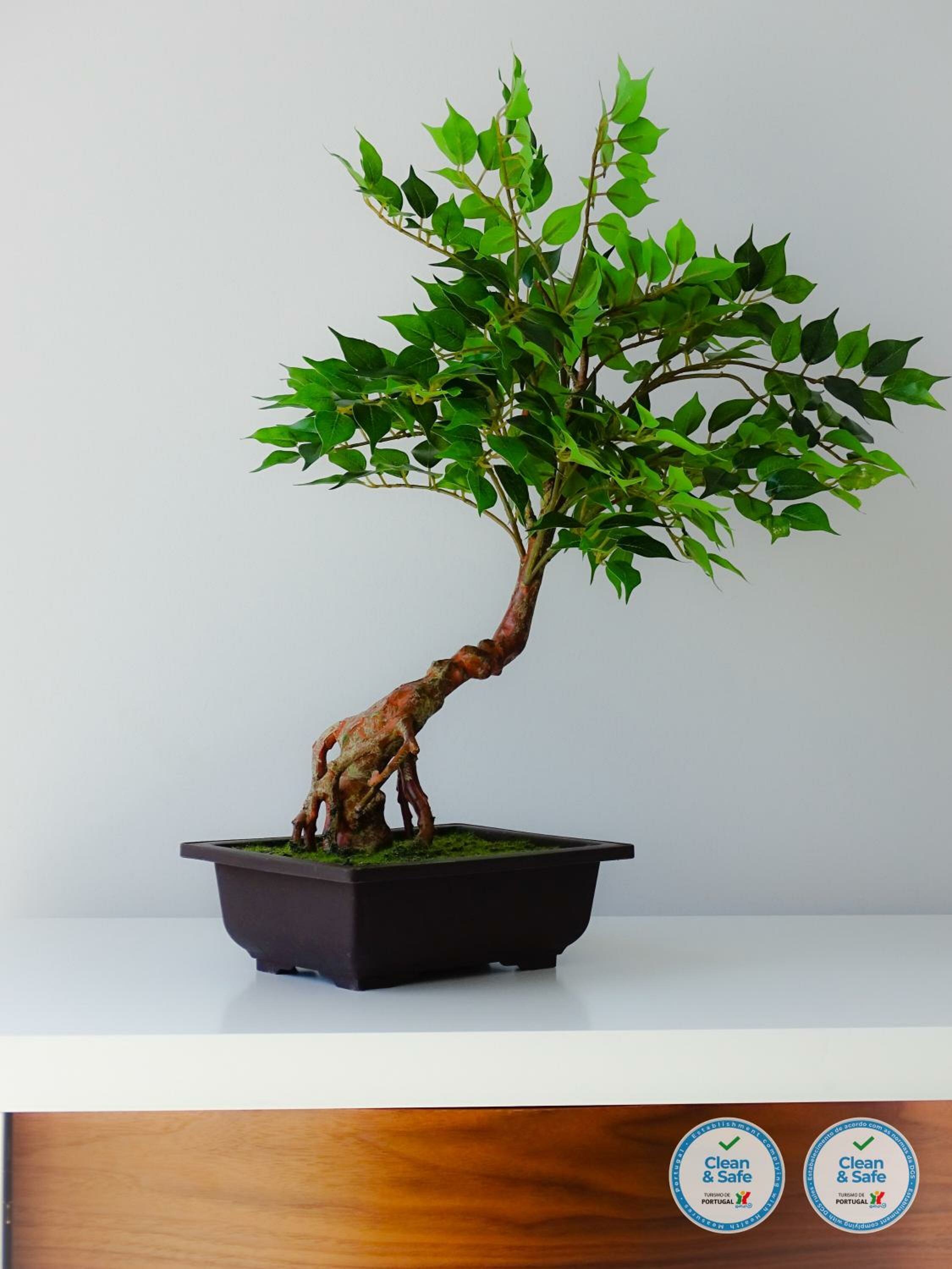 Фото Rs porto Apartments