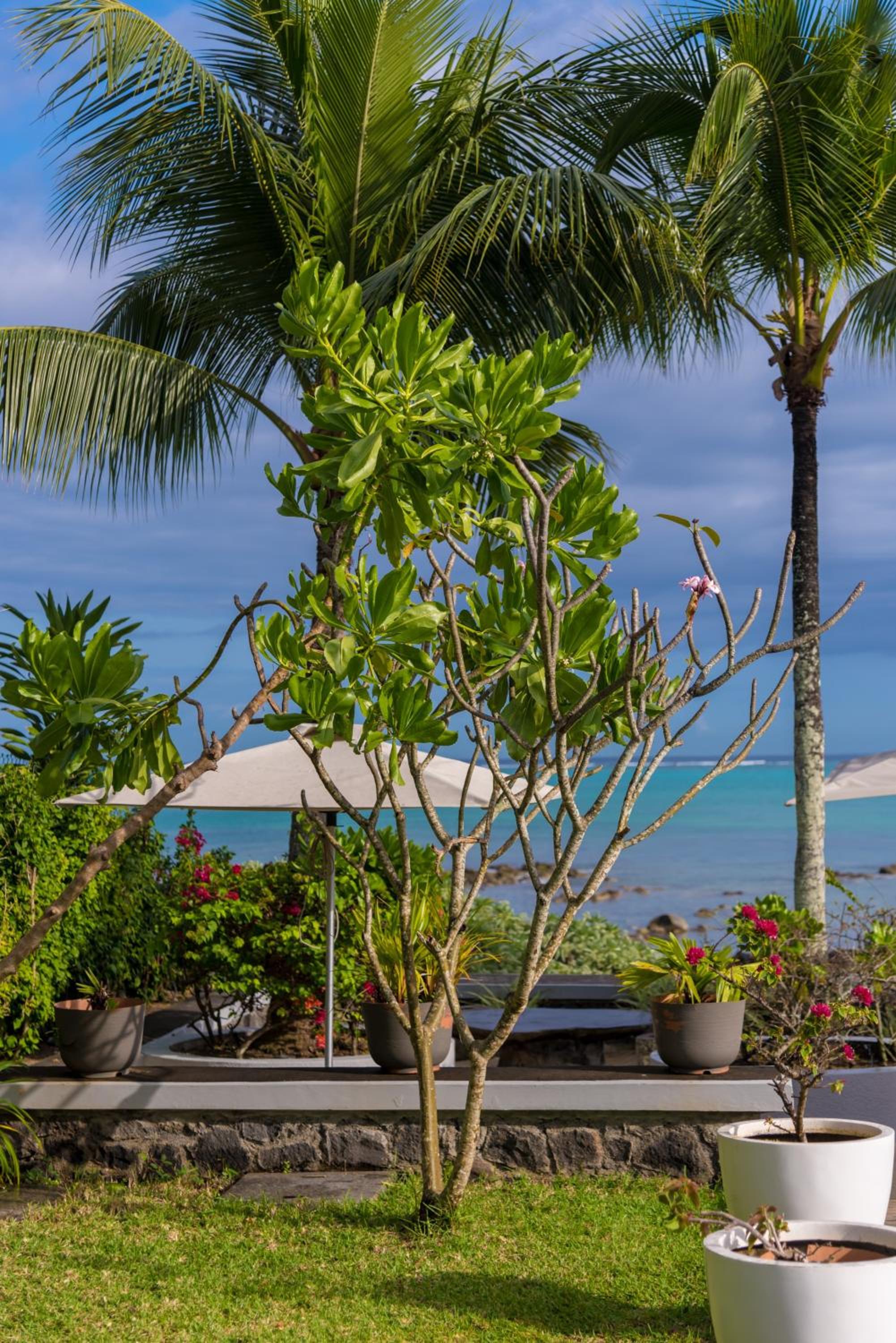 Фото Mon Choisy Beach R.