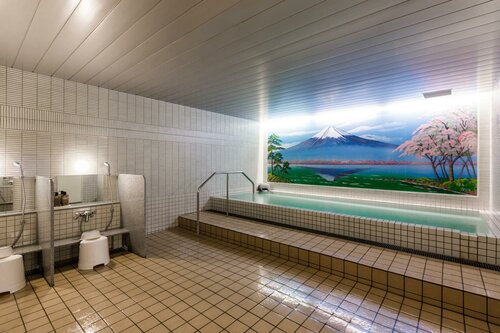 Гостиница New Tomakomai Prince Hotel Nagomi в Томакомае
