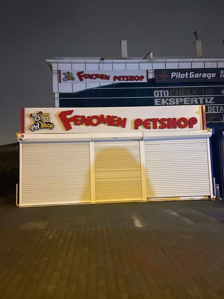 Pet shop Phenomenon Pet Shop - Pet Farm - Cat Dog Sales Center, Ankara, photo