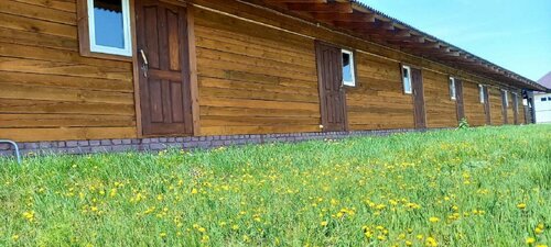 Гостевой дом Ромашка в Яровом