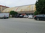 Izmir Altay Football Academy (Istanbul, Beylikduzu, Yakuplu Neighborhood, Birlik Street, 14) ، نادي رياضي، مجموعة