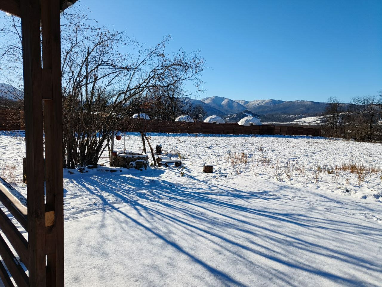 Фото Аманат