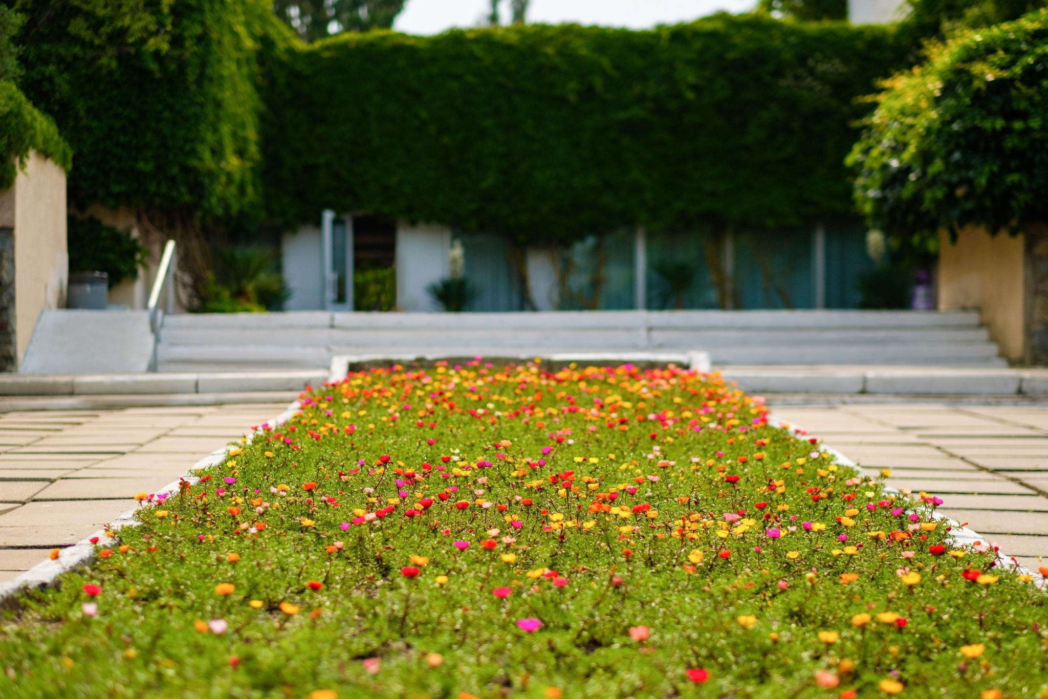 Фото Крымское Приазовье