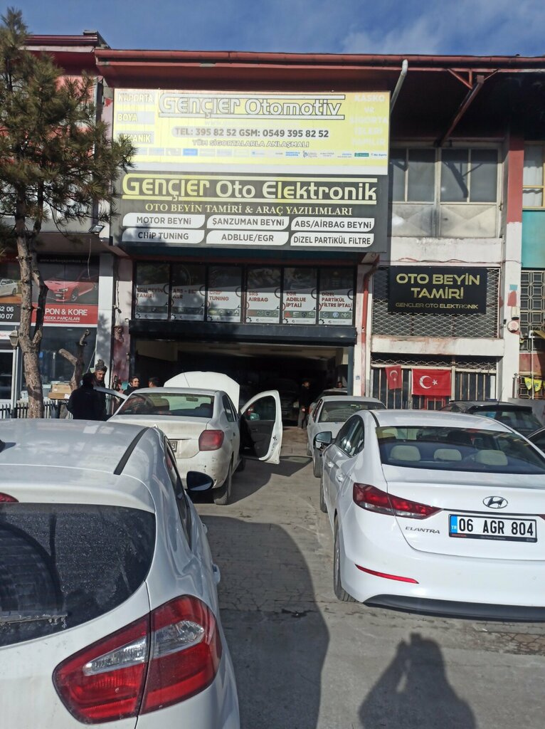 Car service, auto repair Youngsters Auto Electronics Auto Brain Repair and Vehicle Software, Ankara, photo