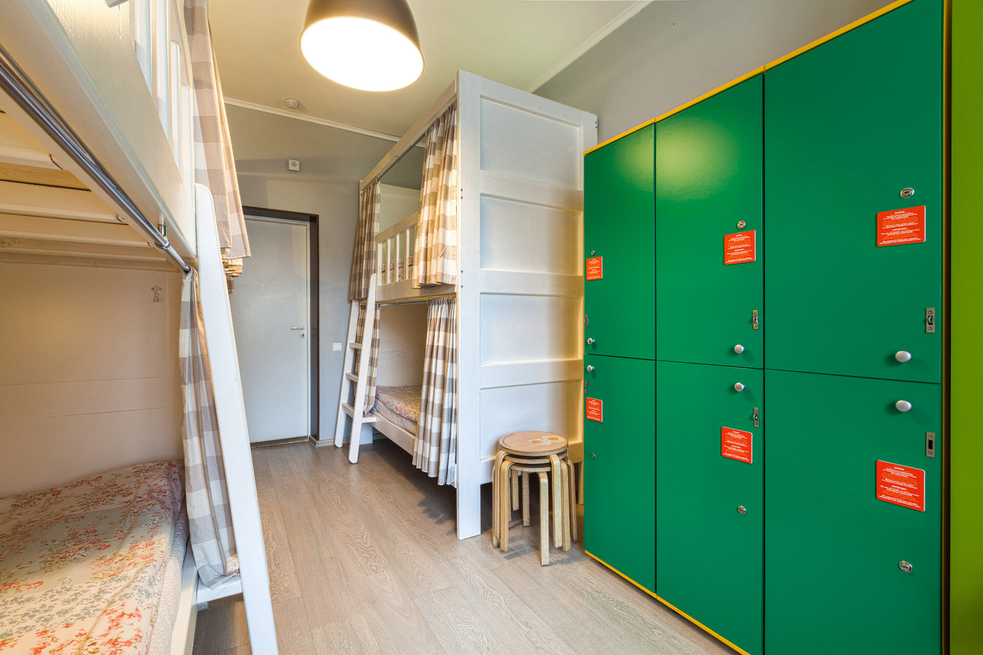 Фото Абрикос