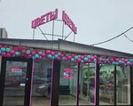 Flowers (Kirova Avenue, 326Г), flower shop